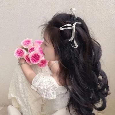 小莫莉大冒险